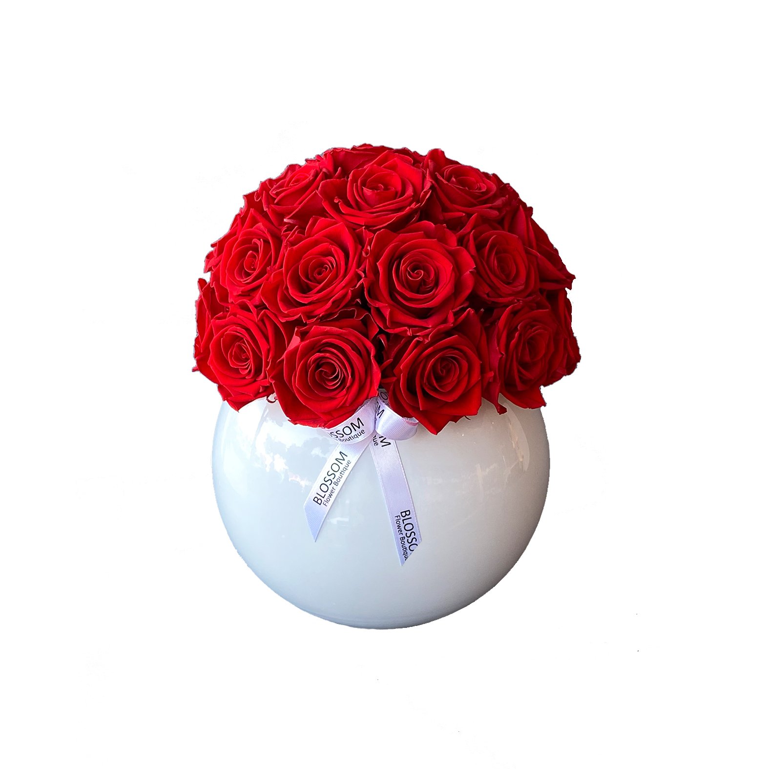 3vibrantred-evelyn-white_1024x1024@2x