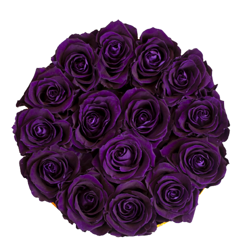 Infinite Roses - Large Box Infinite Roses - Large Box