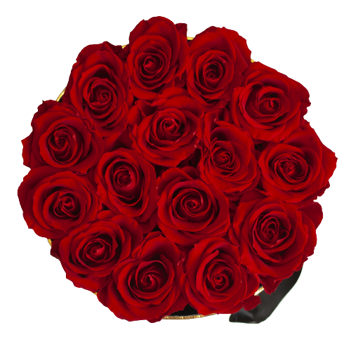 Infinite Roses - Large Box Infinite Roses - Large Box
