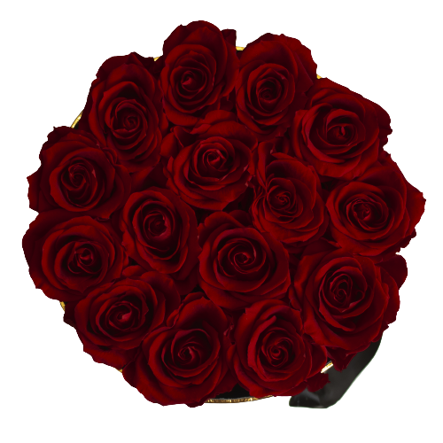 Infinite Roses - Large Box Infinite Roses - Large Box