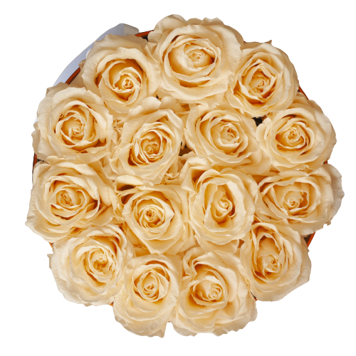 Infinite Roses - Large Box Infinite Roses - Large Box